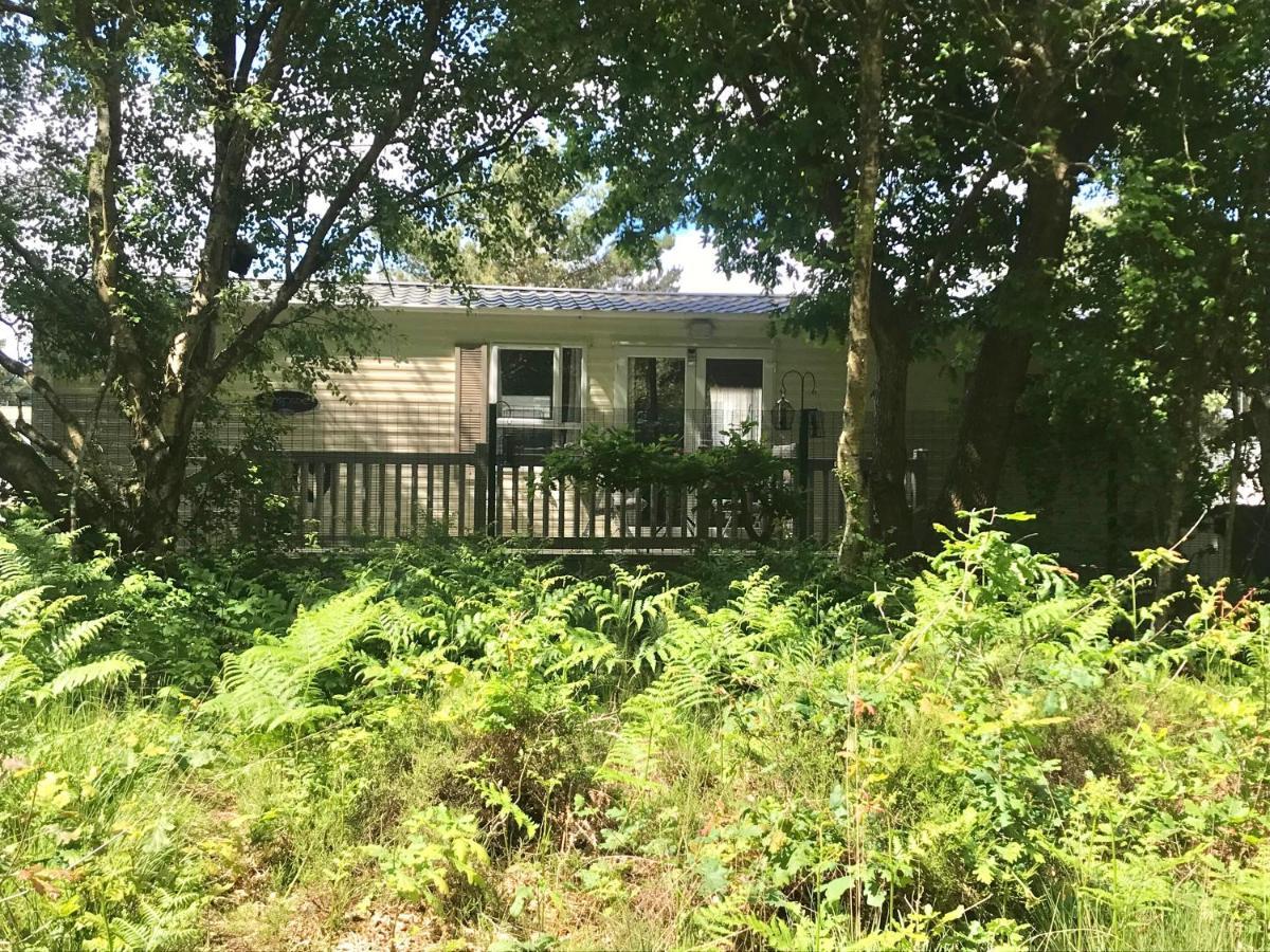 Forest View At Oakdene Forest Park - Leisure Passes Included! Ringwood Exterior photo