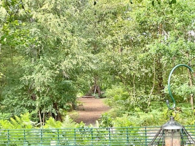 Forest View At Oakdene Forest Park - Leisure Passes Included! Ringwood Exterior photo