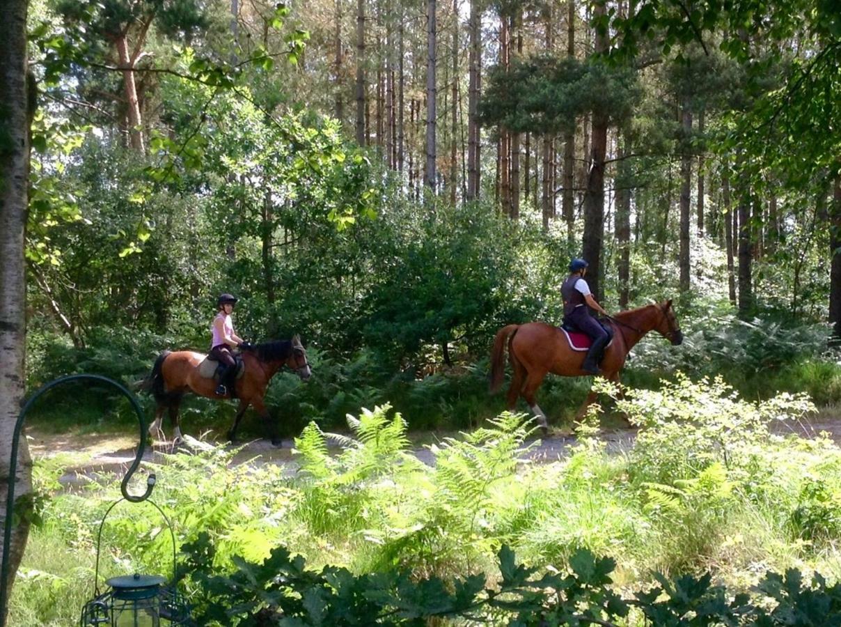 Forest View At Oakdene Forest Park - Leisure Passes Included! Ringwood Exterior photo
